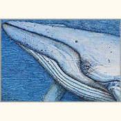 Welten-Wanderer, Detail