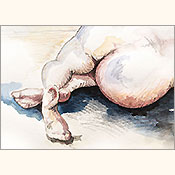 Kalte Schulter, Detail 1