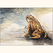 Kalte Schulter, Detail 2