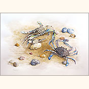 Verzwickte Verwandschaft