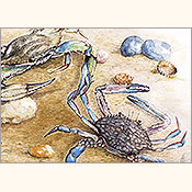 Verzwickte Verwandschaft, Detail 1