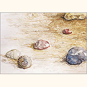 Verzwickte Verwandschaft, Detail 2