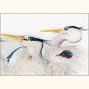 Schräge Voegel, Detail