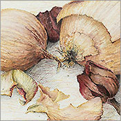 Die Häutung, Detail